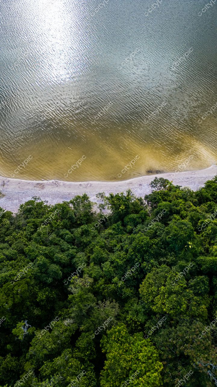 Morro das Pedras e Lagoa do Peri em Florianópolis com vegetação densa e águas tranquilas sob luz solar intensa