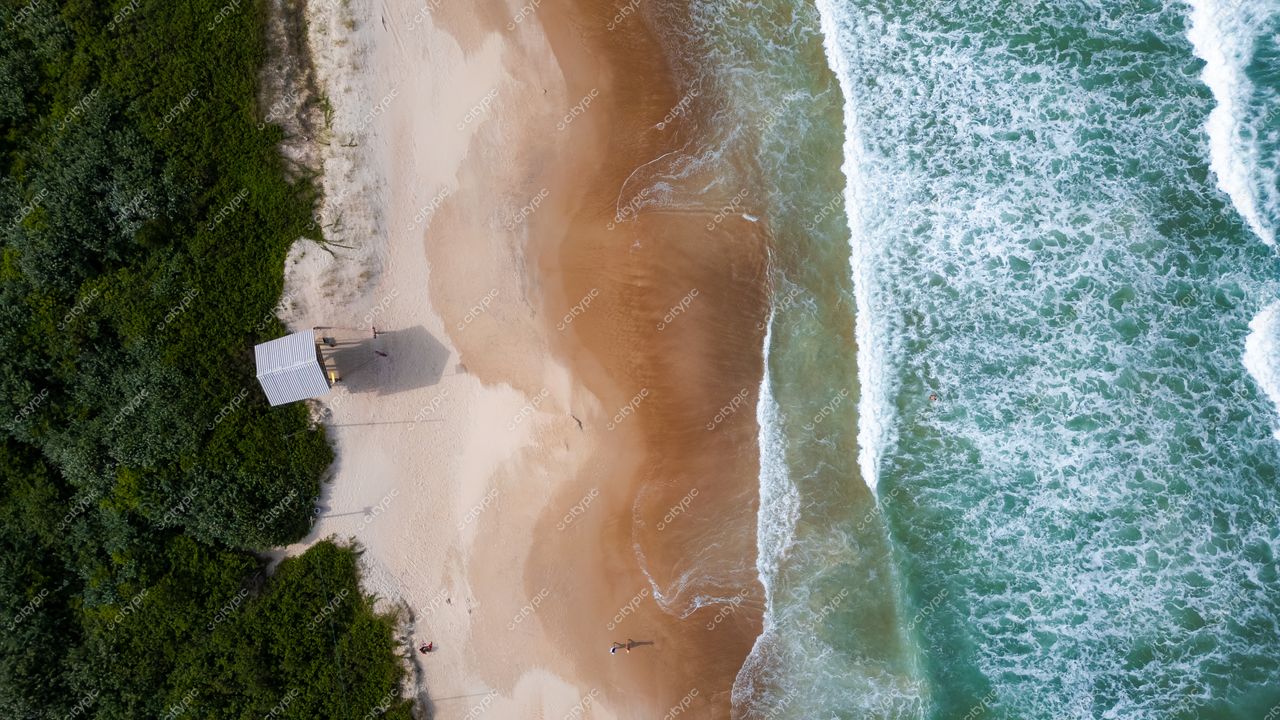 Campeche em Florianópolis com vista aérea da praia, quiosque de madeira e vegetação densa ao redor