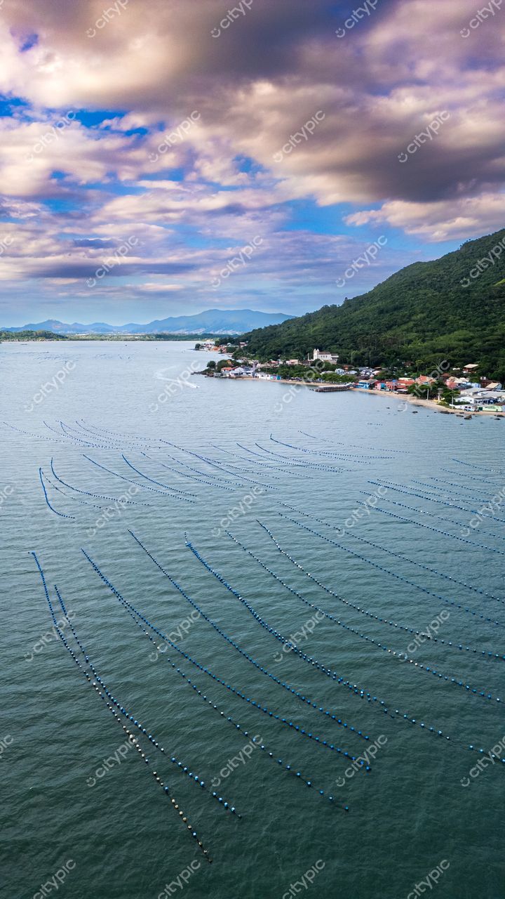 Ribeirão da Ilha em Florianópolis com vista aérea de mar tranquilo e casas coloridas sob céu nublado