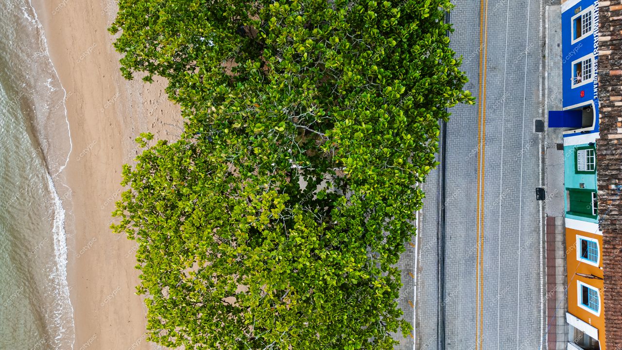 Ribeirão da Ilha em Florianópolis com vegetação verde, casas coloridas e iluminação ensolarada em dia claro
