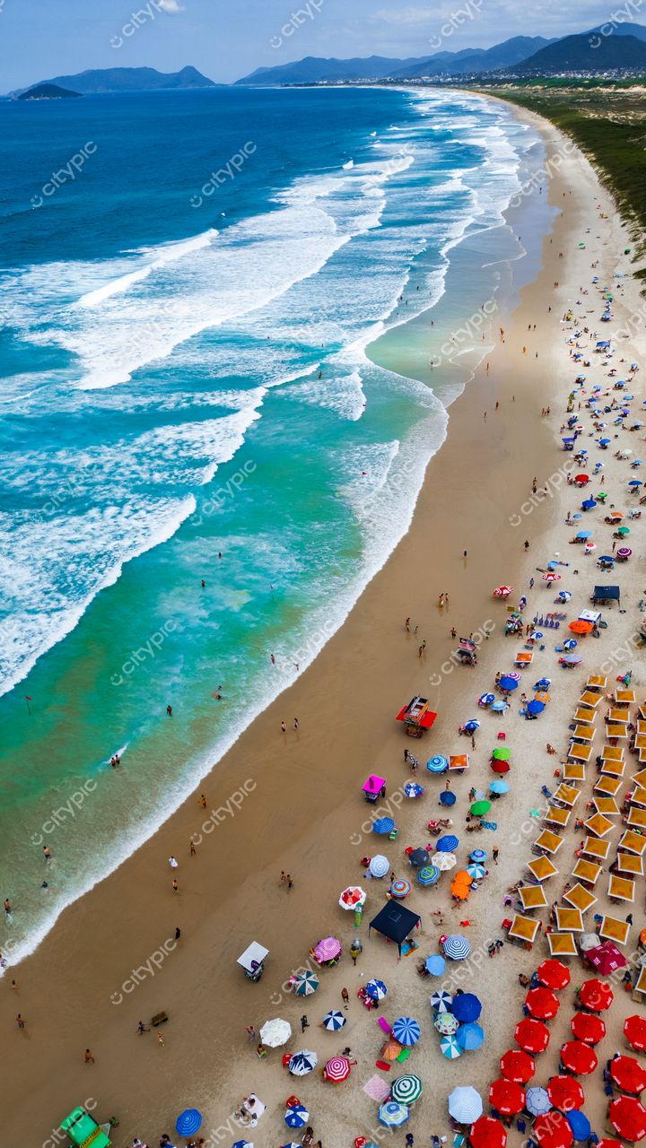 Praia da Joaquina, em Florianópolis, com céu claro e iluminado, guarda-sóis coloridos e vegetação ao fundo