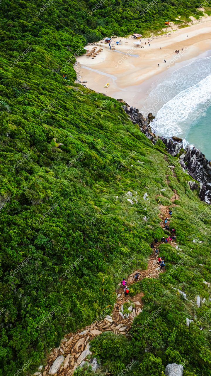 Lagoinha do Leste em Florianópolis com vegetação densa, caminho de terra e pessoas caminhando na praia clara