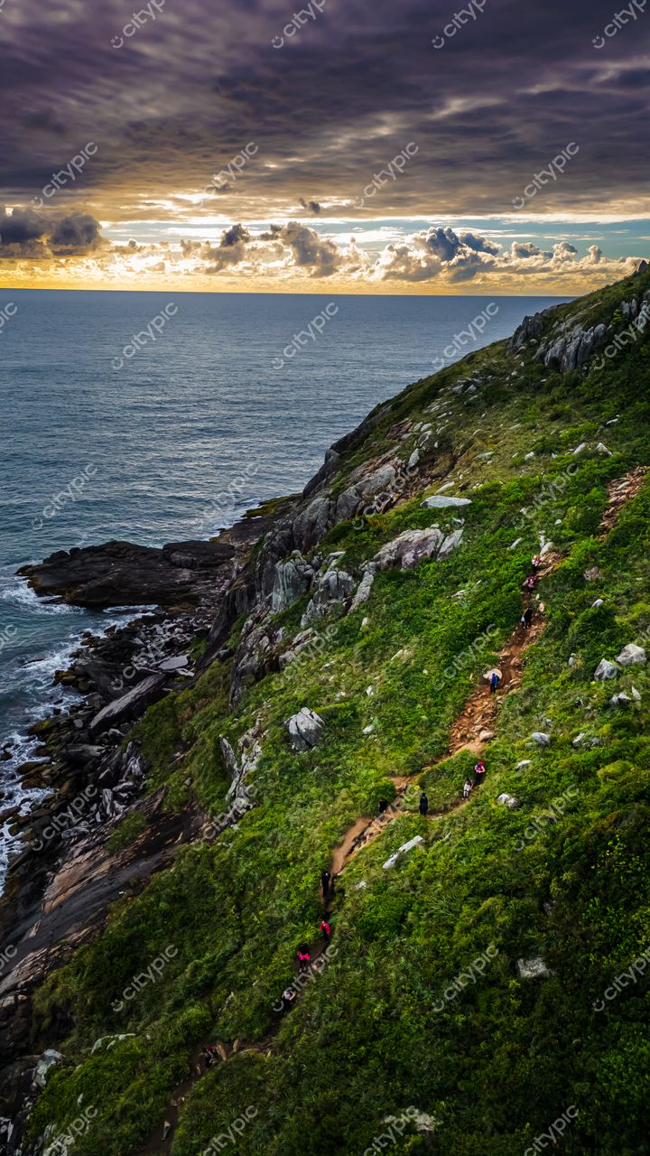 Lagoinha do Leste em Florianópolis com trilha de terra batida, vegetação densa e céu nublado ao amanhecer