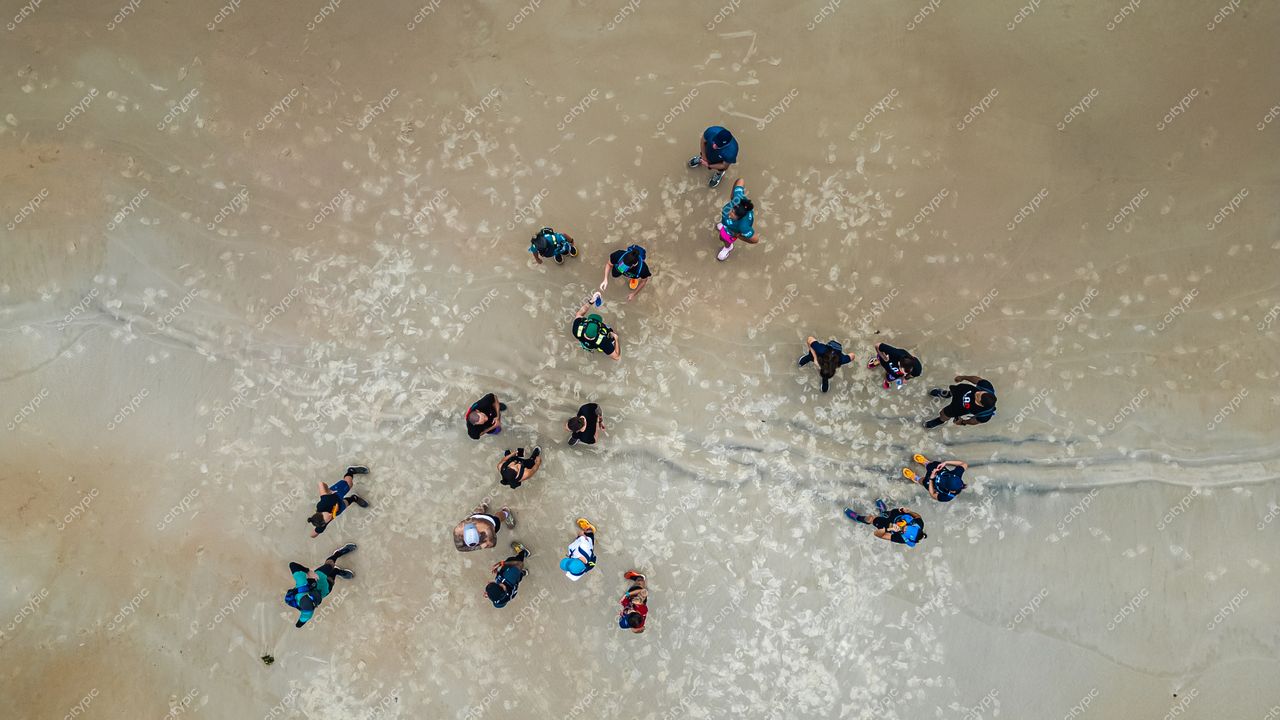 Lagoinha do Leste em Florianópolis com grupo diverso na praia e pegadas na areia sob sol intenso