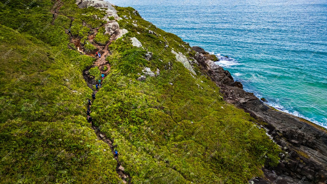 Lagoinha do Leste em Florianópolis com trilha estreita, vegetação densa e mar azul ao fundo durante o dia