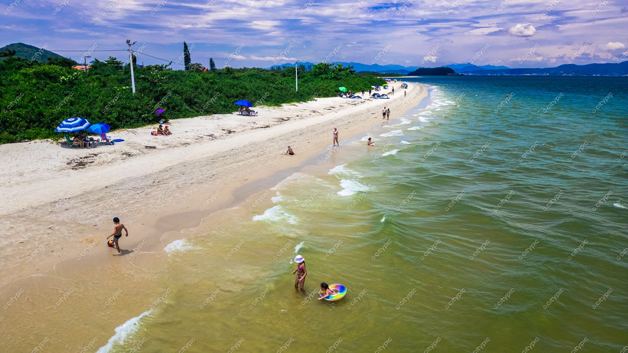Praia da Daniela em Florianópolis com areia clara, vegetação densa e ombrelones azuis em dia ensolarado