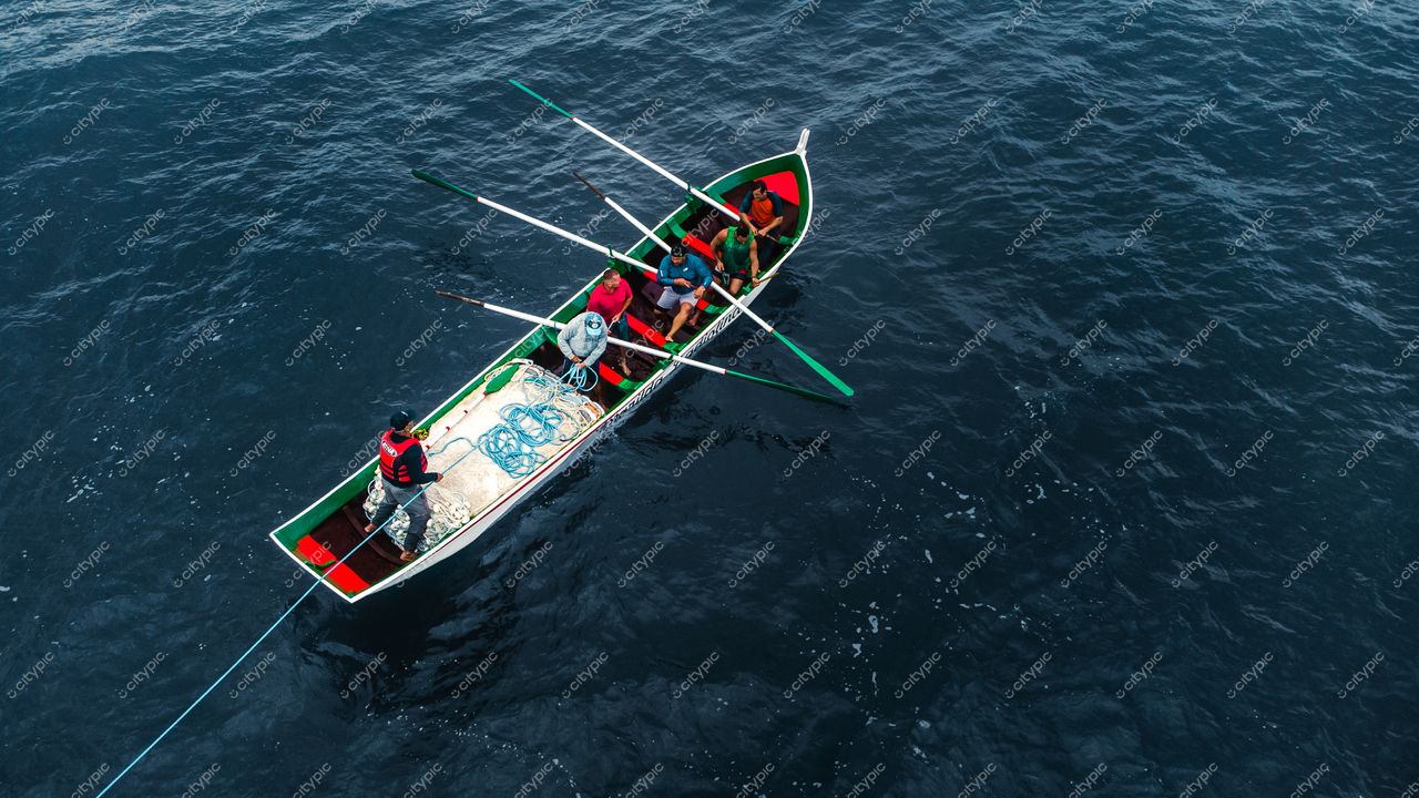 Florianópolis, Santa Catarina, grupo de cinco pessoas em barco à remo em águas abertas sob dia claro