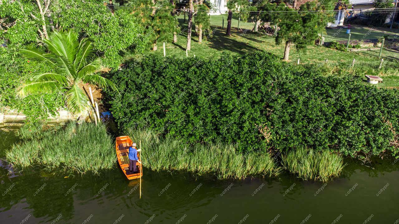 Florianópolis, Santa Catarina, canoa de madeira em área verdejante com palmeira e vegetação densa à beira d’água