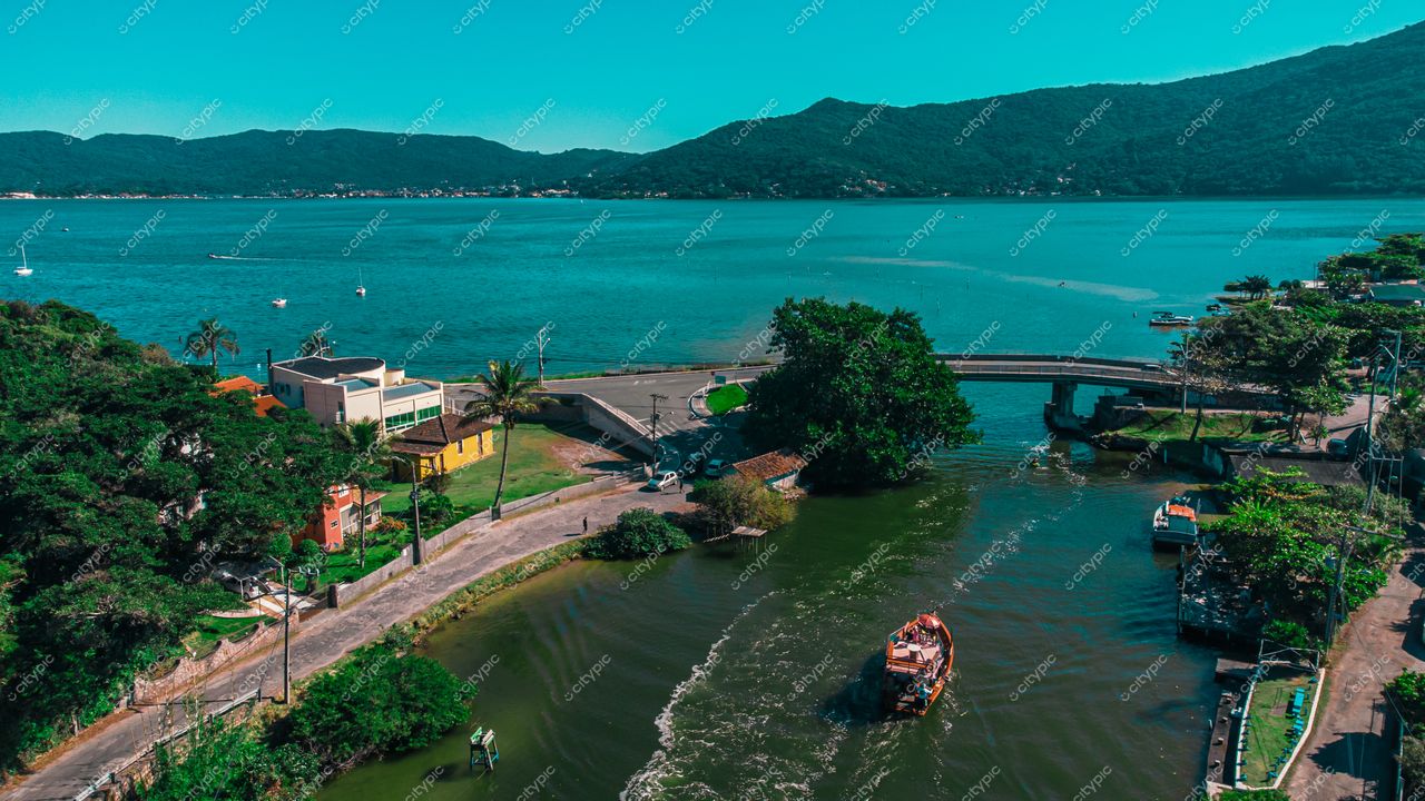 Florianópolis, Santa Catarina vista da baía com vegetação densa e residências ao fundo em dia ensolarado