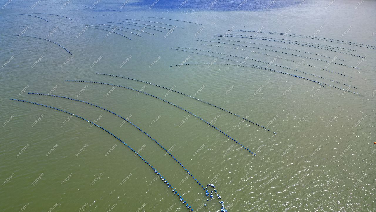 Ribeirão da Ilha em Florianópolis com boias azuis em águas esverdeadas sob céu claro em dia ensolarado