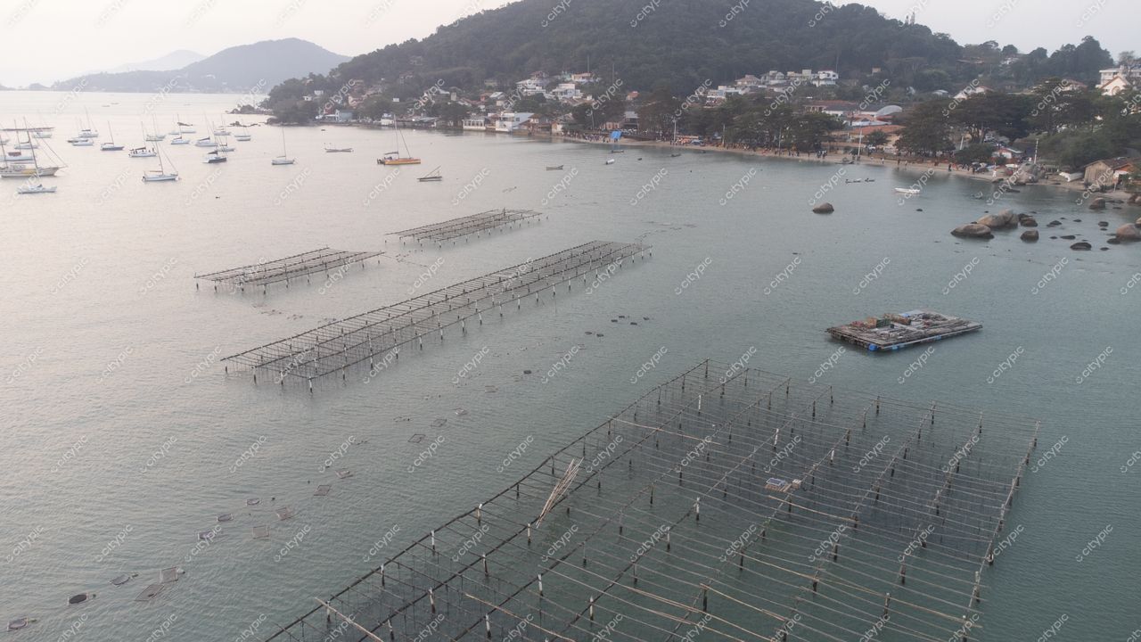 Florianópolis, Santa Catarina, vista panorâmica da baía com embarcações e estruturas flutuantes ao amanhecer