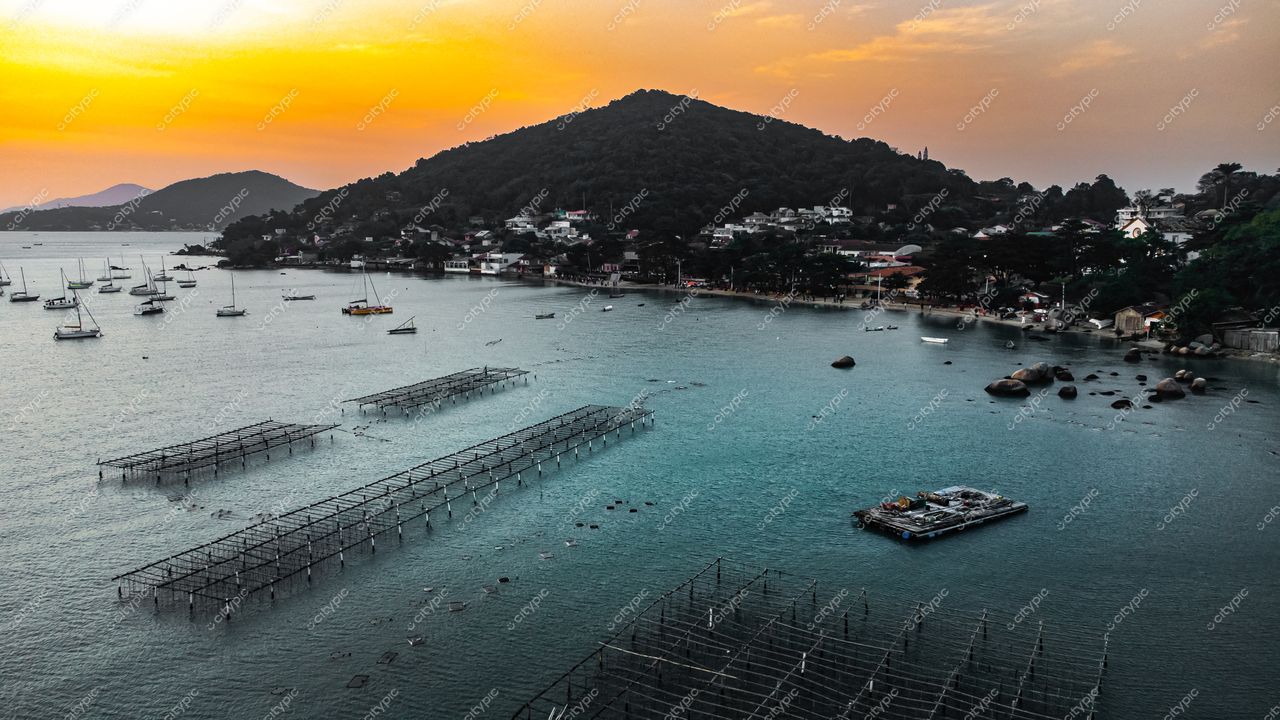 Florianópolis, Santa Catarina vista panorâmica da baía ao entardecer com cultivo marinho e barcos ancorados