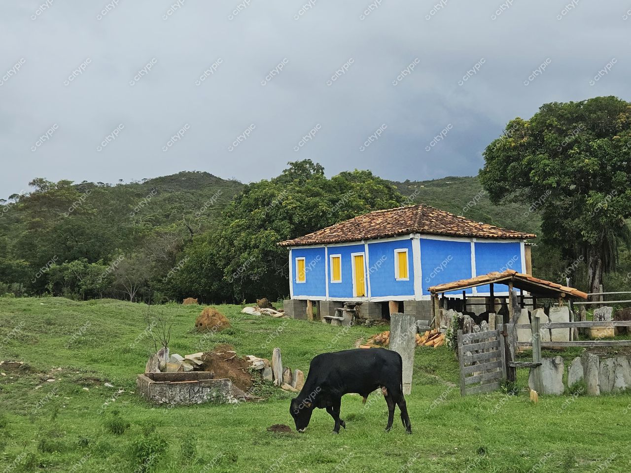 Santana do Riacho, Minas Gerais, casa de fazenda azul e amarela com vaca pastando em gramado verde sob céu nublado
