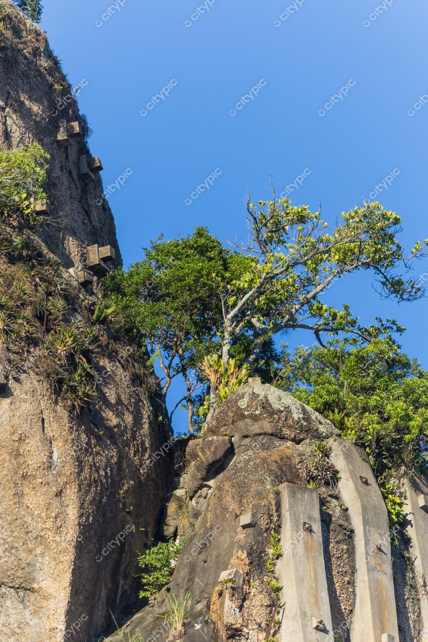 Copacabana, em Rio de Janeiro, formação rochosa com vegetação densa sob céu azul em dia ensolarado