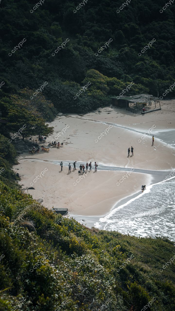 Lagoinha do Leste em Florianópolis com vista aérea da praia, pessoas na areia e abrigo entre árvores