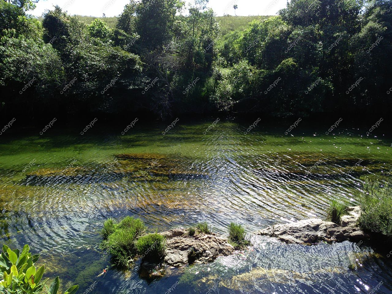 Serra da Canastra, Minas Gerais, trecho do rio com água verde e vegetação densa sob luz solar suave