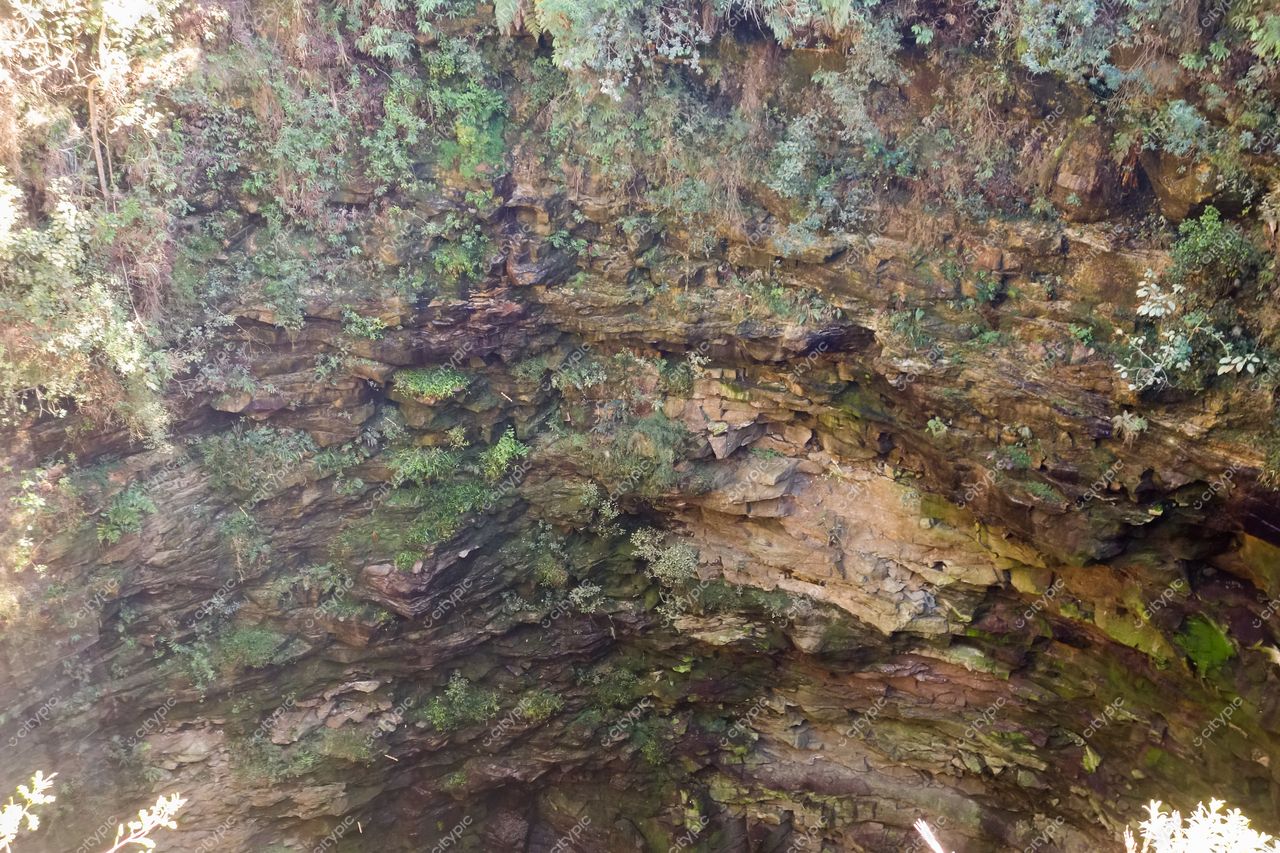 Ponta Grossa, Paraná, formação rochosa com vegetação abundante e iluminação diurna em ambiente natural íngreme