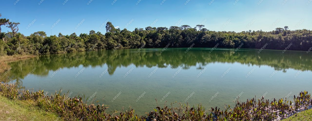 Ponta Grossa, Paraná lago sereno com vegetação densa e água esmeralda em dia ensolarado e tranquilo