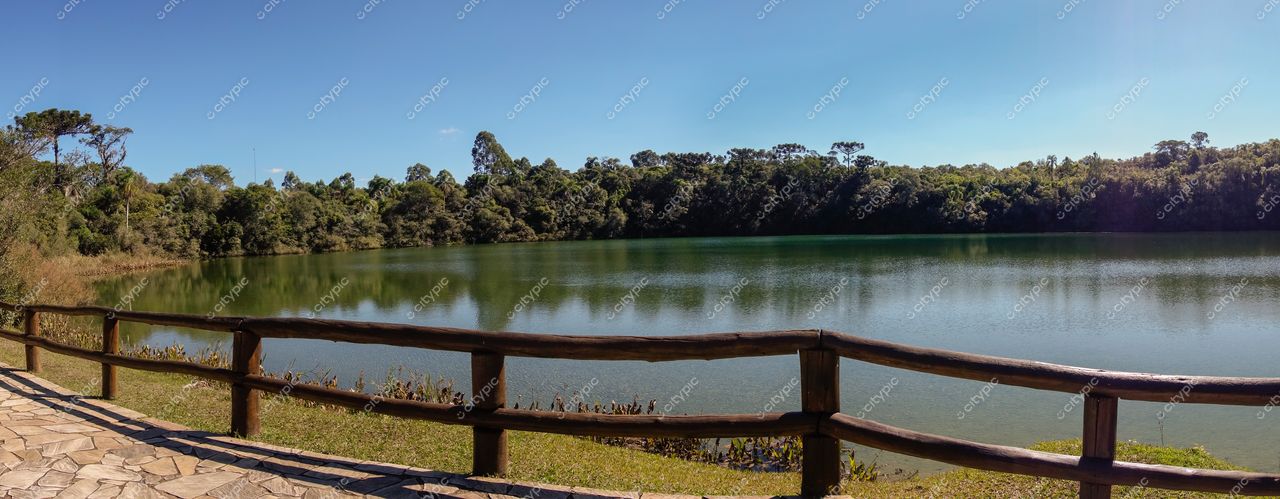 Ponta Grossa, Paraná Lago sereno cercado por vegetação tropical e cerca de madeira em dia ensolarado com céu claro