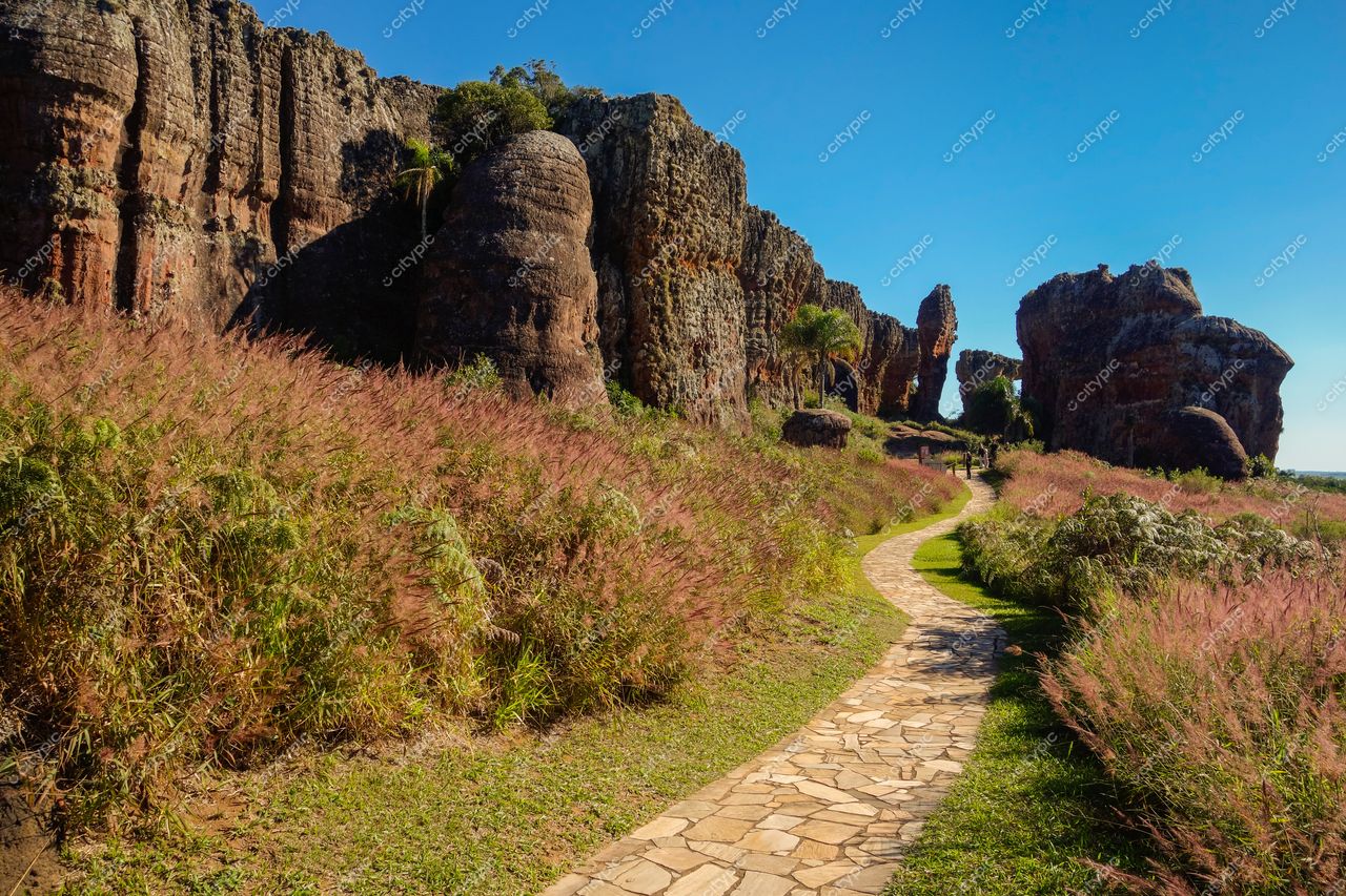 Ponta Grossa, Paraná caminho de pedras entre formações rochosas e vegetação avermelhada em dia ensolarado