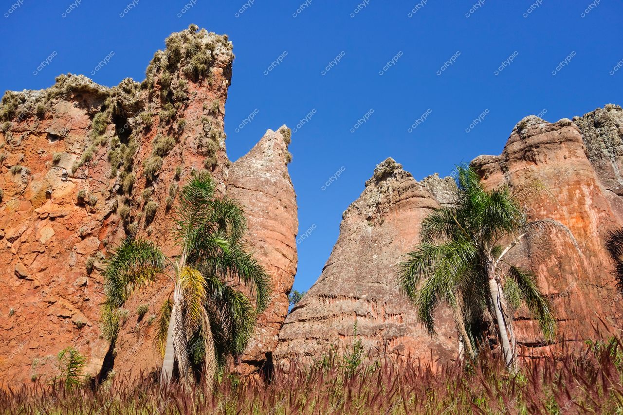 Ponta Grossa, Paraná, formações rochosas avermelhadas com picos verticais e vegetação sob céu azul intenso em dia ensolarado
