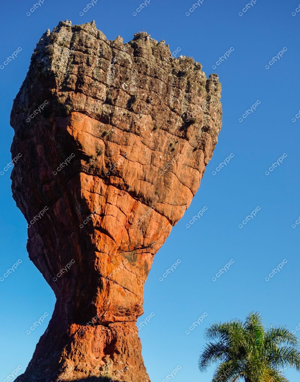 Ponta Grossa, Paraná, formação rochosa Pedra do Sino com tom avermelhado e palmeira em dia ensolarado