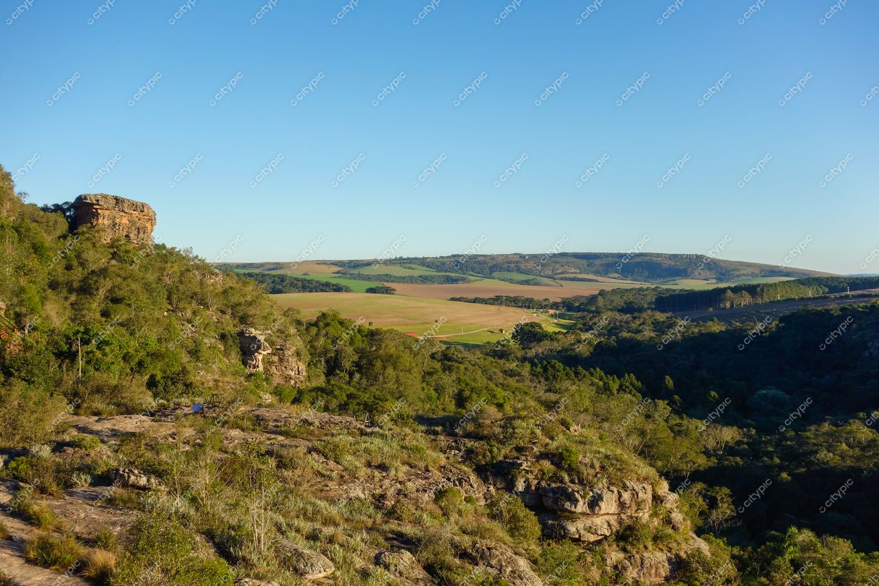 Ponta Grossa, Paraná vista panorâmica de cânion com relevo acidentado e vegetação diversificada em dia ensolarado