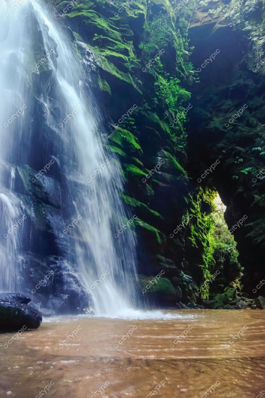 Ponta Grossa, Paraná Cachoeira com água suave descendo por rochas musgosas em ambiente iluminado e vegetação densa