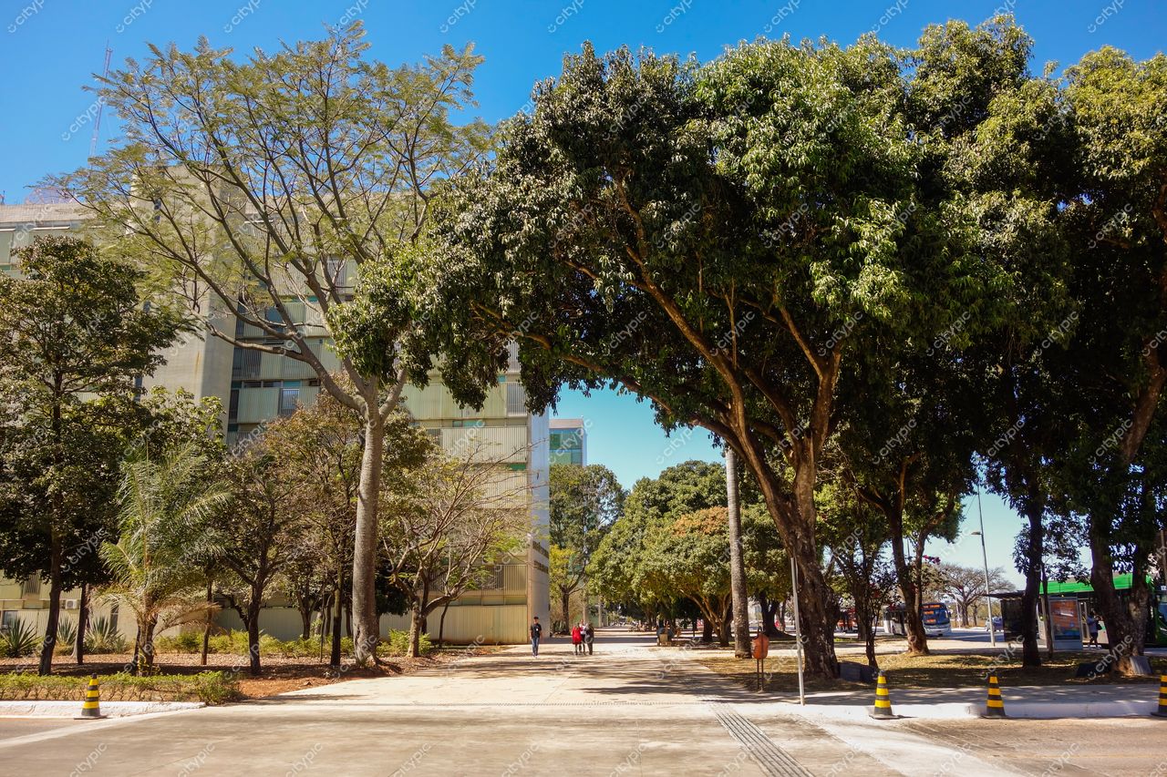 Brasília, Distrito Federal, edifício moderno com janelas refletivas e calçada ampla sob céu azul claro em dia ensolarado