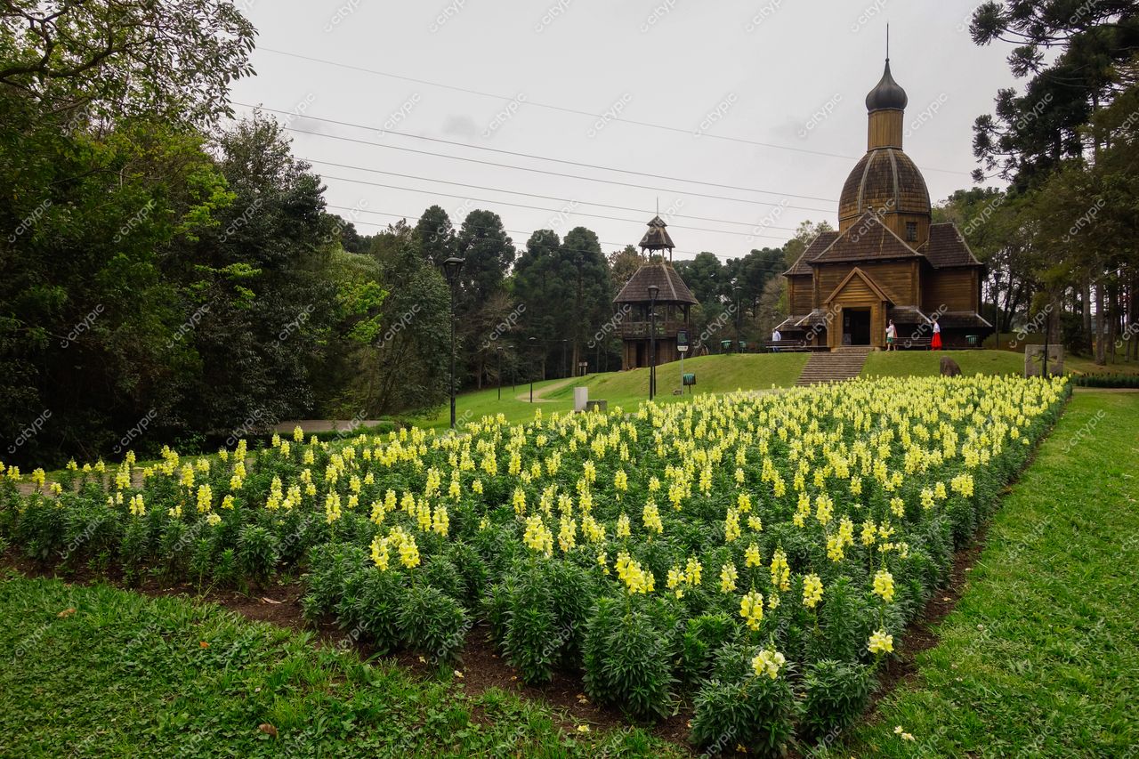 Curitiba, Paraná, jardim com flores amarelas em dia nublado e construções rústicas ao fundo entre árvores densas