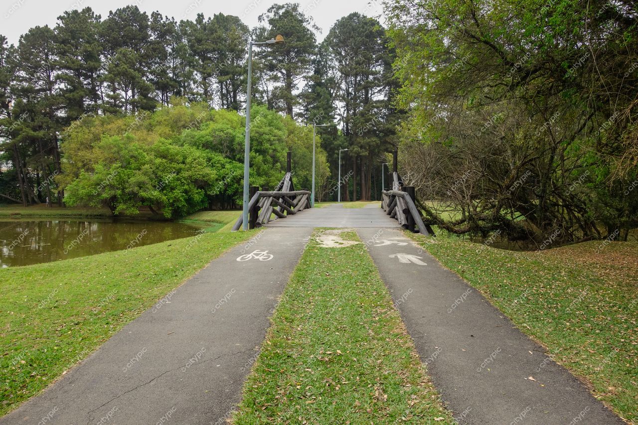 Curitiba, Paraná trilha para pedestres e ciclistas em parque com ponte de madeira e lago calmo à esquerda