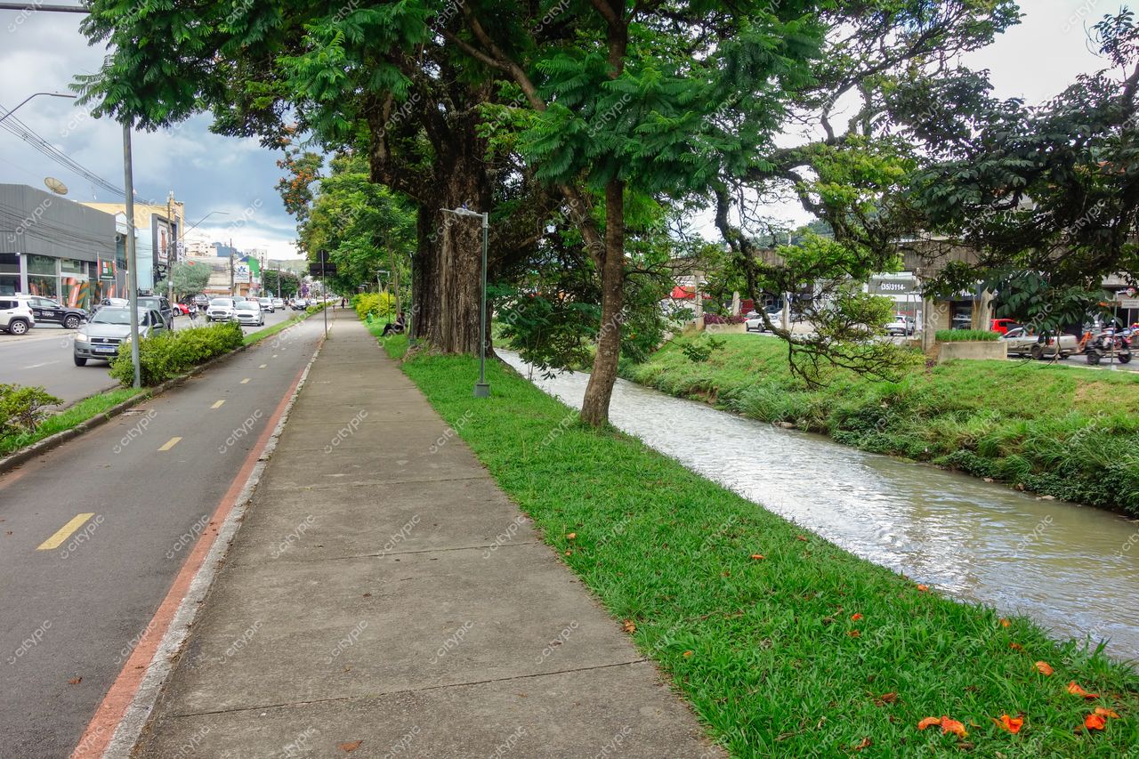 Poços de Caldas, Minas Gerais, rua arborizada ao lado de córrego com tráfego leve e prédios comerciais ao fundo