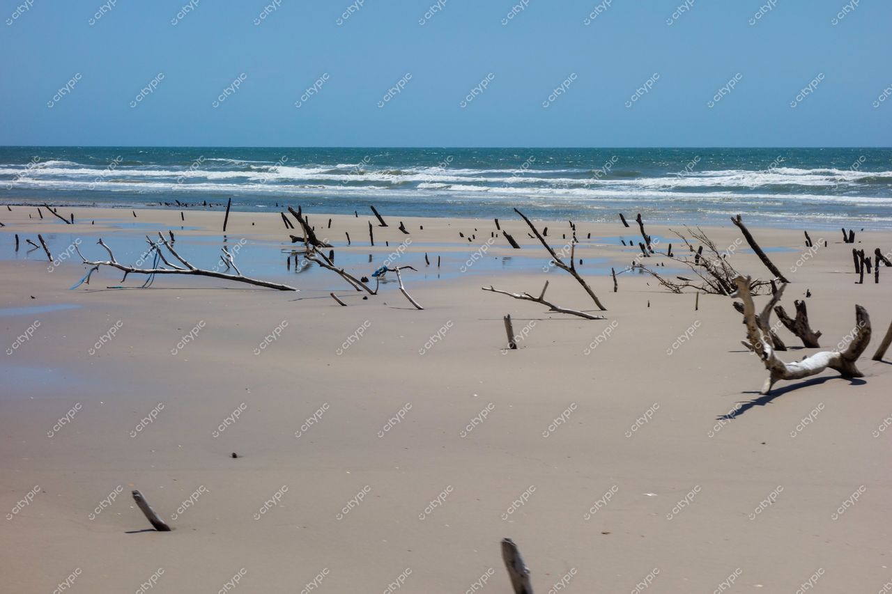 Atins, Maranhão praia tranquila com areia clara e troncos de madeira sob céu azul em dia ensolarado