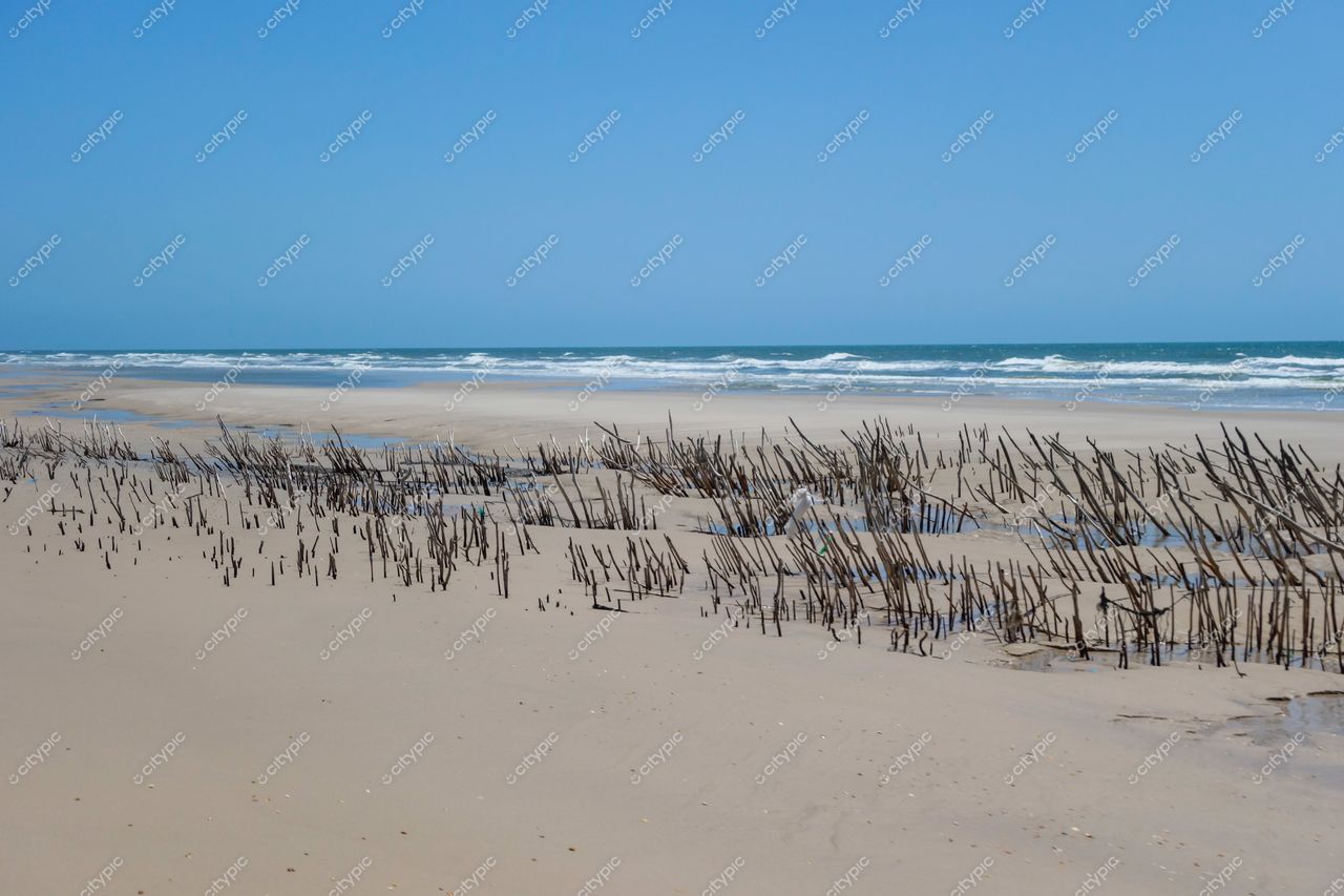 Atins, Maranhão em dia ensolarado com céu azul e galhos na areia formando padrão natural na praia