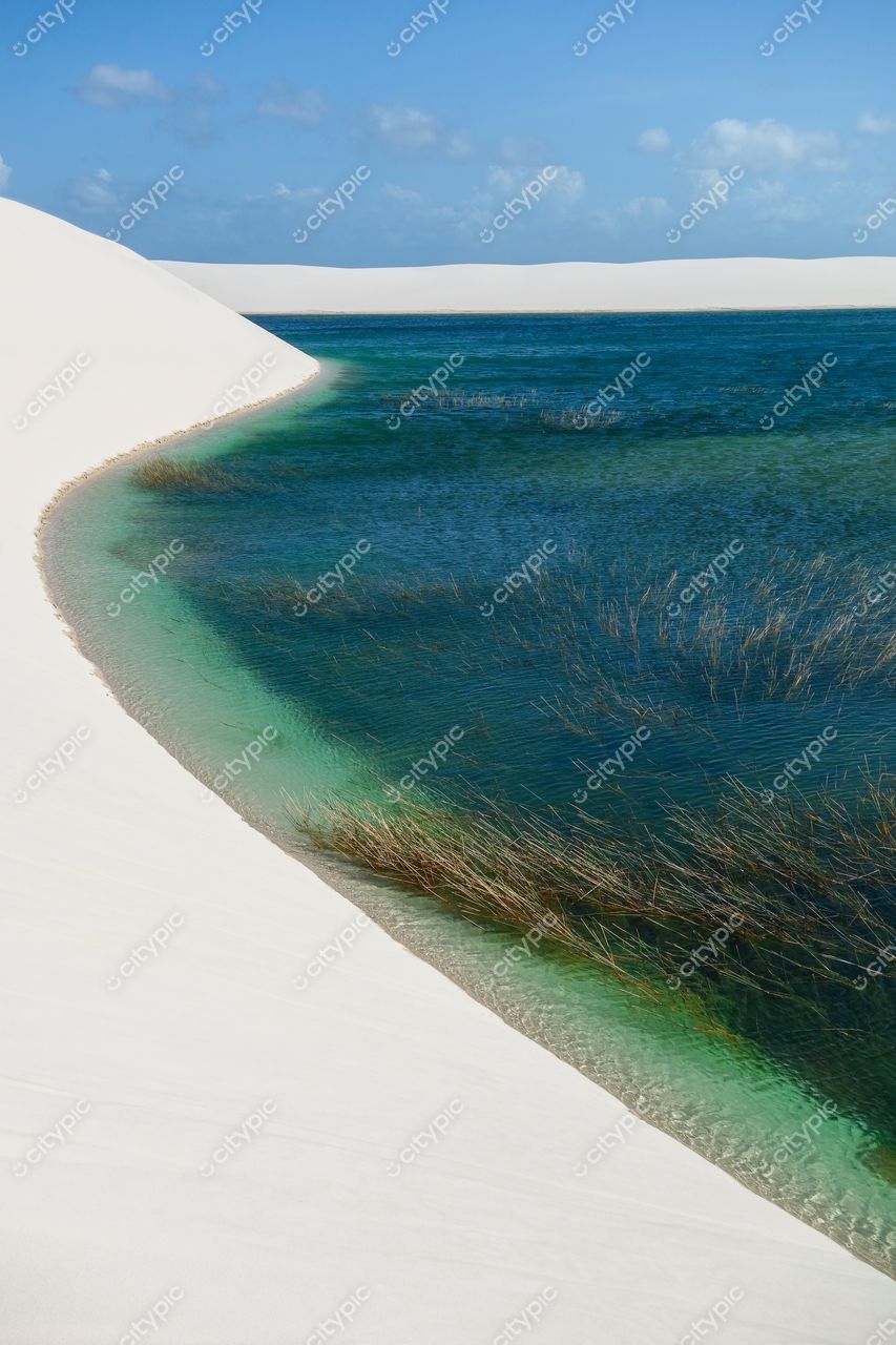 Lençóis Maranhenses, Maranhão, lagoas de água clara refletindo céu azul em dia ensolarado com vegetação aquática