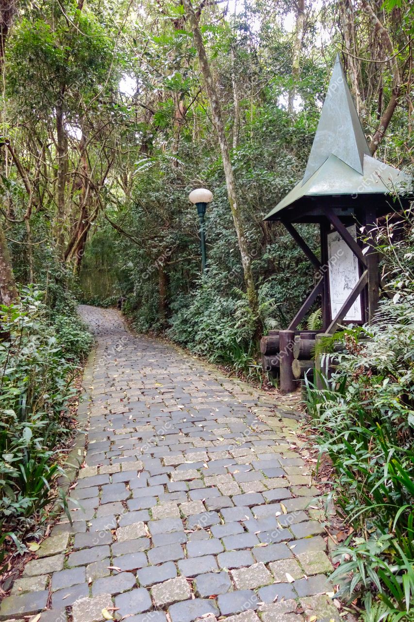 Curitiba, Paraná, caminho pavimentado com pedras em ambiente florestal e estrutura de madeira sob céu nublado