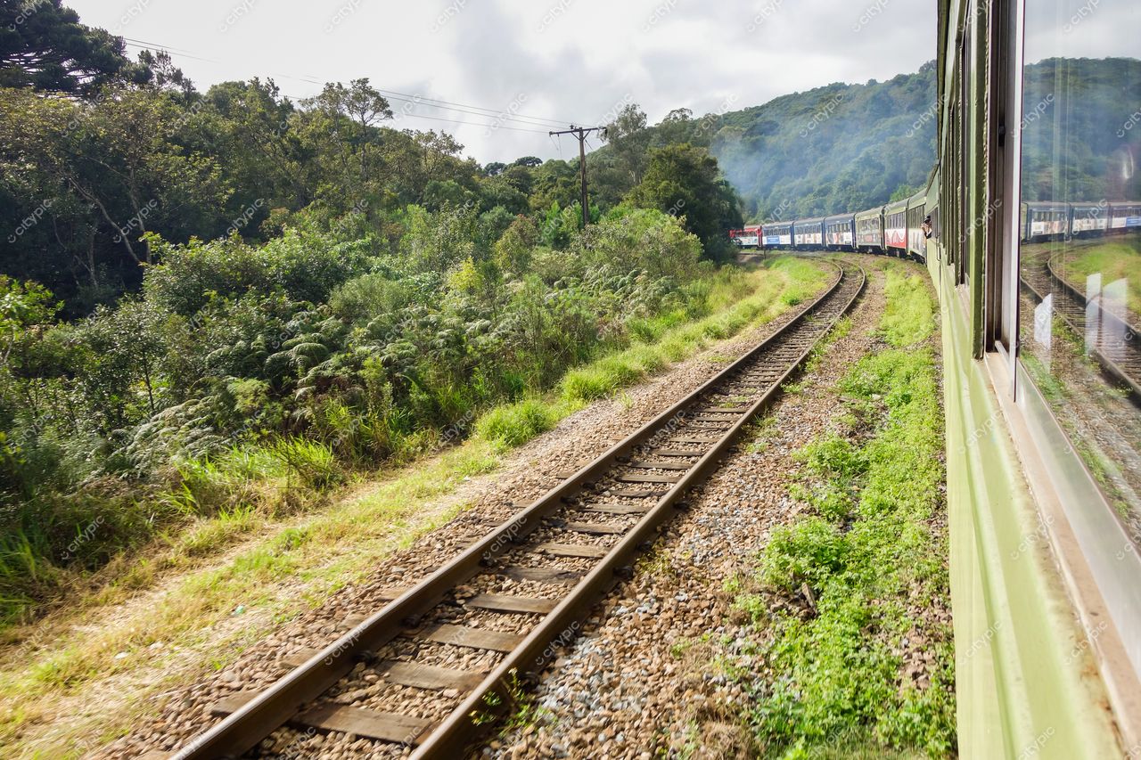 Morretes, Paraná, trem passando por trilhos curvos em meio à densa vegetação durante o dia ensolarado