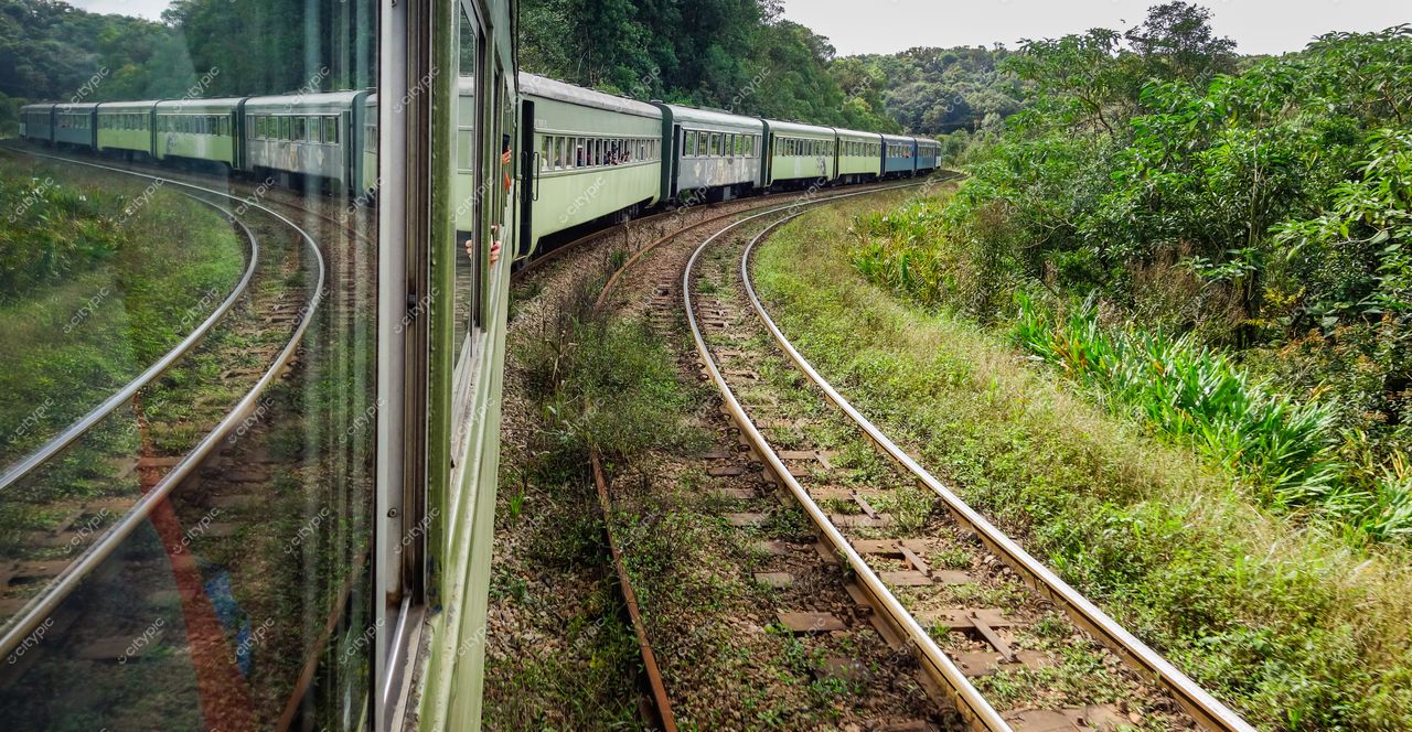 Morretes, Paraná trem de passageiros curvando-se entre vegetação densa em dia ensolarado com luz suave