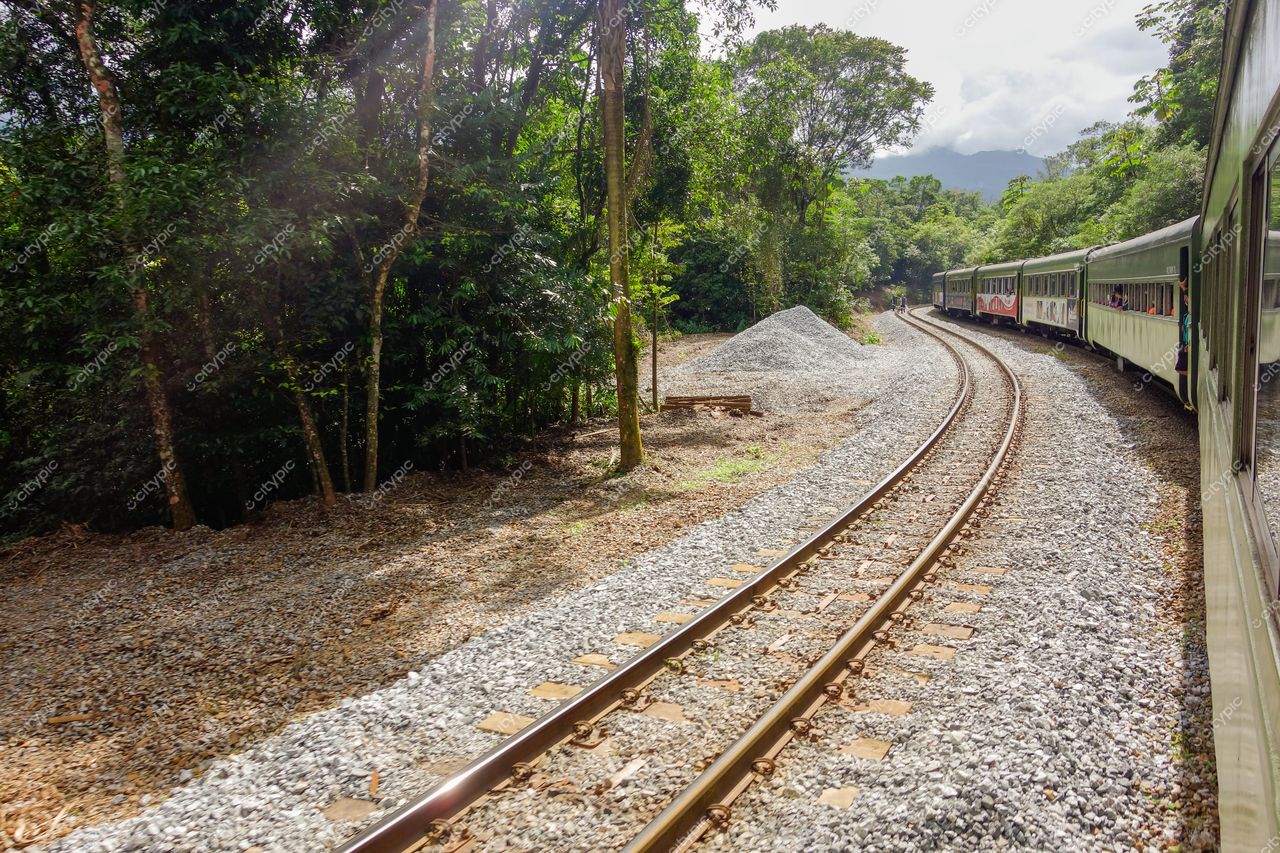 Morretes, Paraná, trilhos de trem entre densa vegetação com iluminação solar filtrada e terreno de cascalho