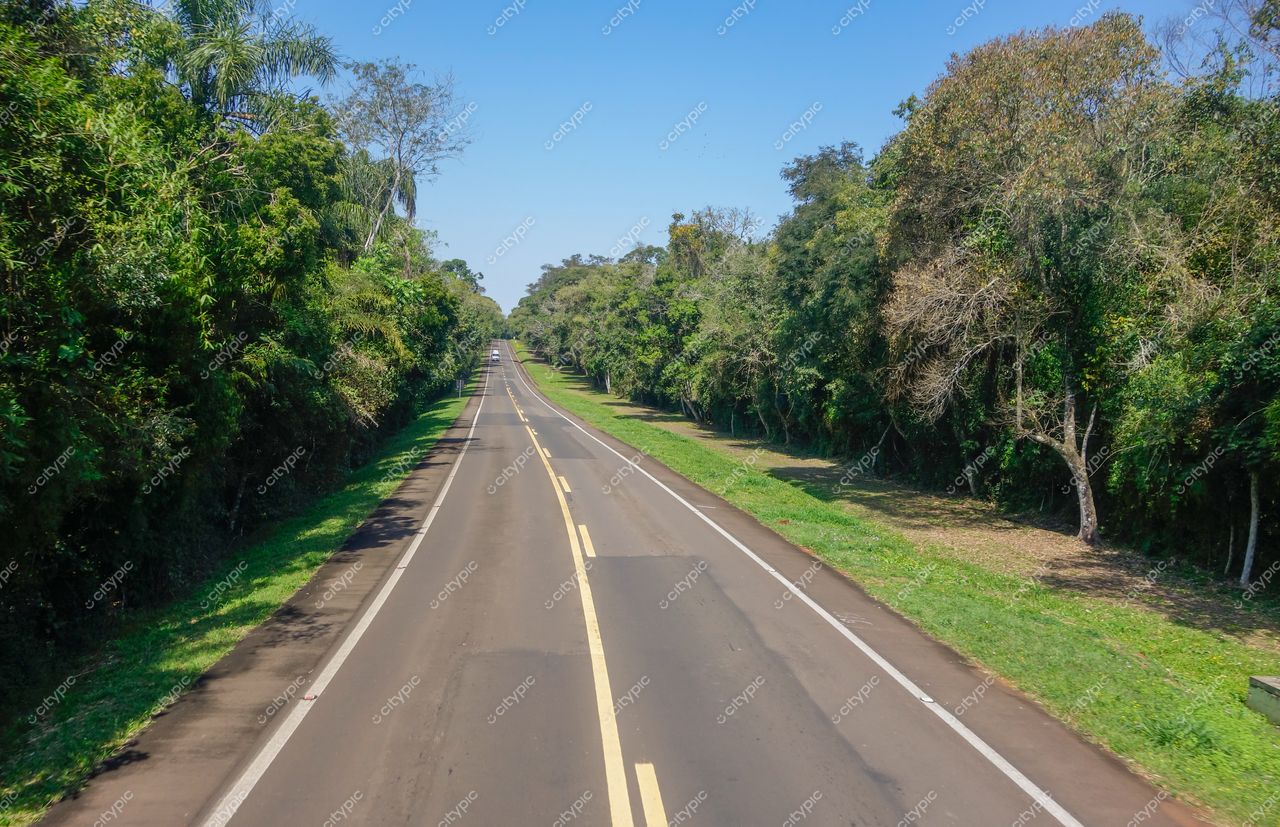 Foz do Iguaçu, Paraná, estrada reta com vegetação densa e céu limpo em dia ensolarado e gramado verde