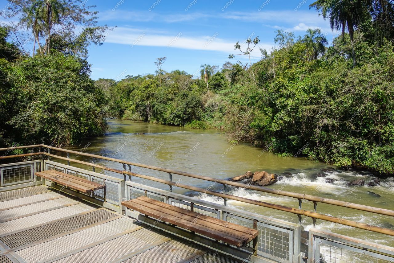 Foz do Iguaçu, Paraná, rio calmo entre vegetação densa com deque de madeira e céu claro iluminando a cena