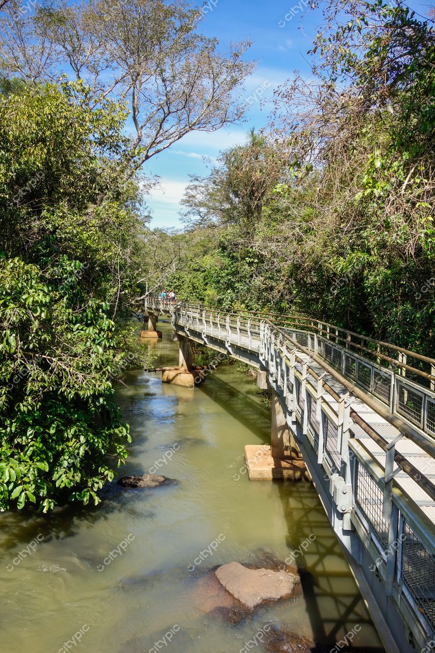 Foz do Iguaçu, Paraná, passarela elevada de metal sobre rio em vegetação densa com céu claro e azul