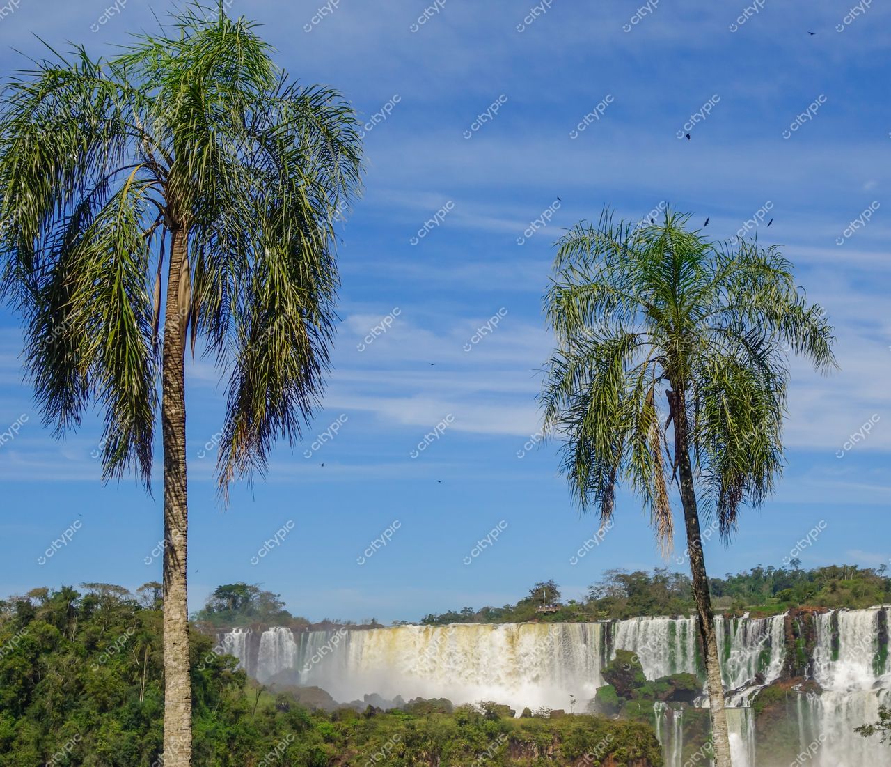 Foz do Iguaçu, Paraná, vista das Cataratas com palmeiras em primeiro plano e céu azul claro ao fundo
