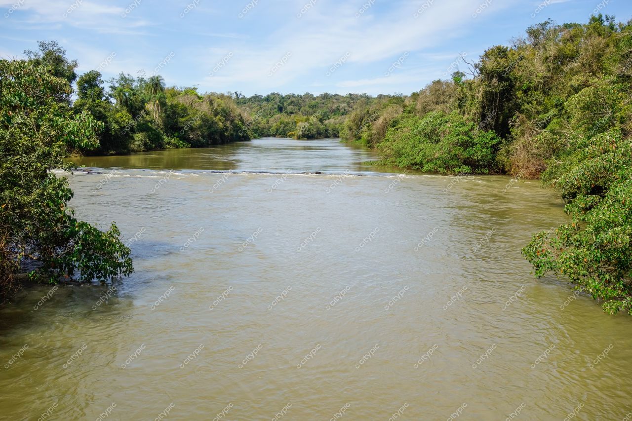 Foz do Iguaçu, Paraná, rio com águas acinzentadas entre vegetação densa e céu azul claro em dia tranquilo