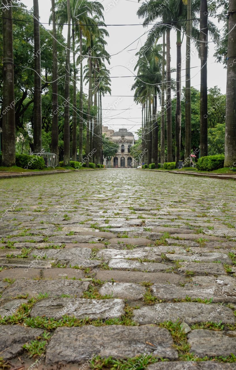 Belo Horizonte, Minas Gerais, rua pavimentada com pedras e palmeiras em dia nublado com construção clássica ao fundo