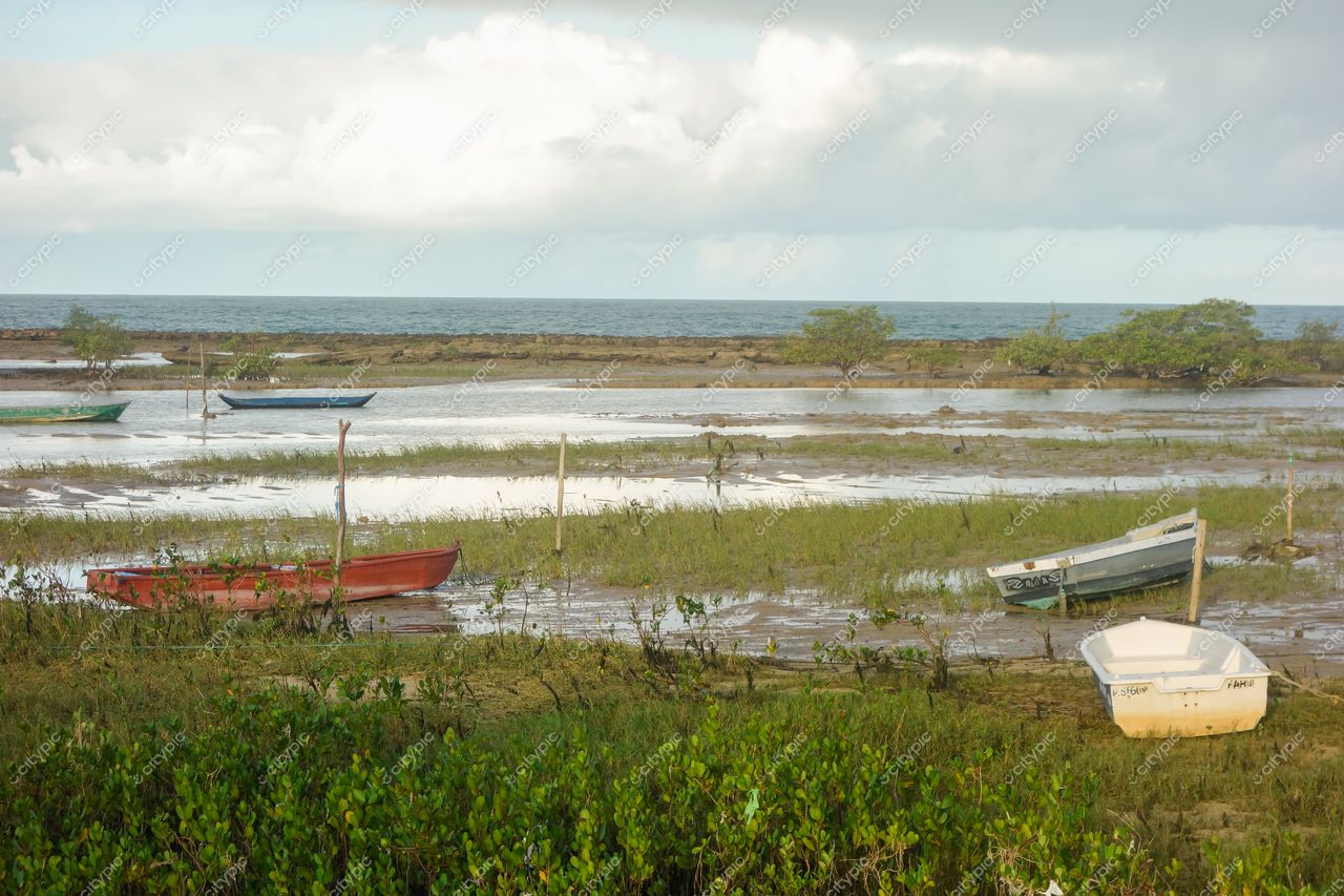 Santa Cruz Cabrália, Bahia, barcos ancorados em maré baixa com vegetação rasteira e céu parcialmente nublado
