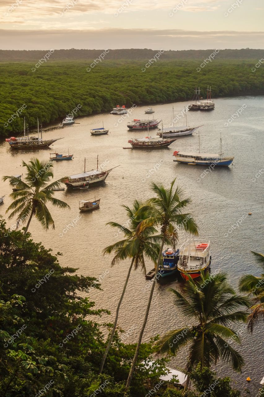 Santa Cruz Cabrália, Bahia, amanhecer suave com embarcações ancoradas em baía rodeada por manguezais e palmeiras