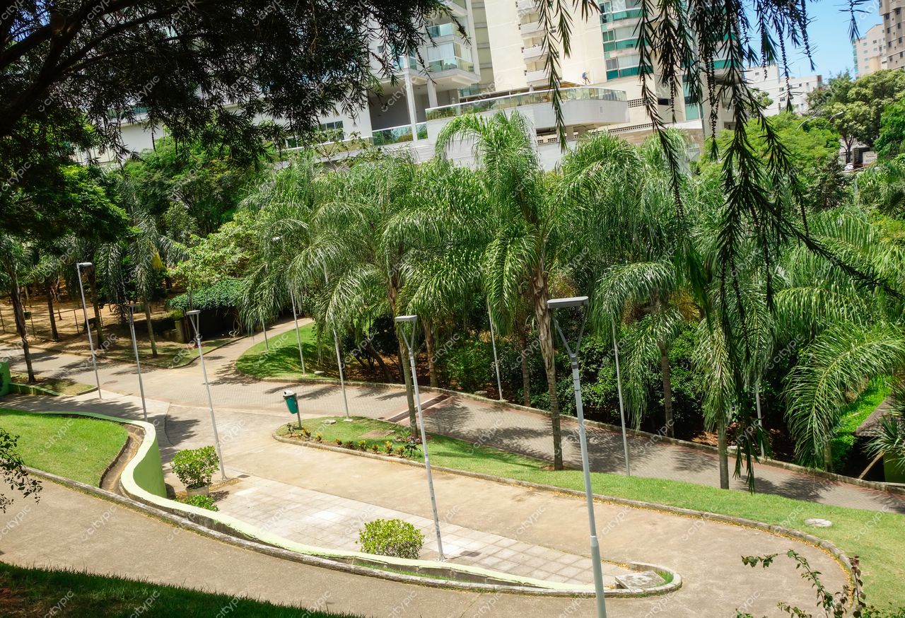 Vitória, Espírito Santo, parque urbano com palmeiras e vegetação densa em dia ensolarado e edificações modernas ao fundo
