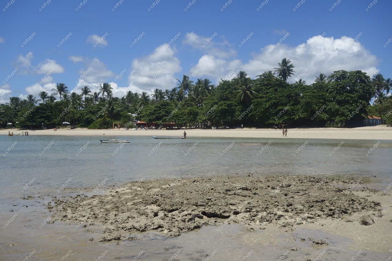 Morro de São Paulo, Bahia com praia tranquila, águas rasas refletindo céu azul e vegetação densa ao fundo