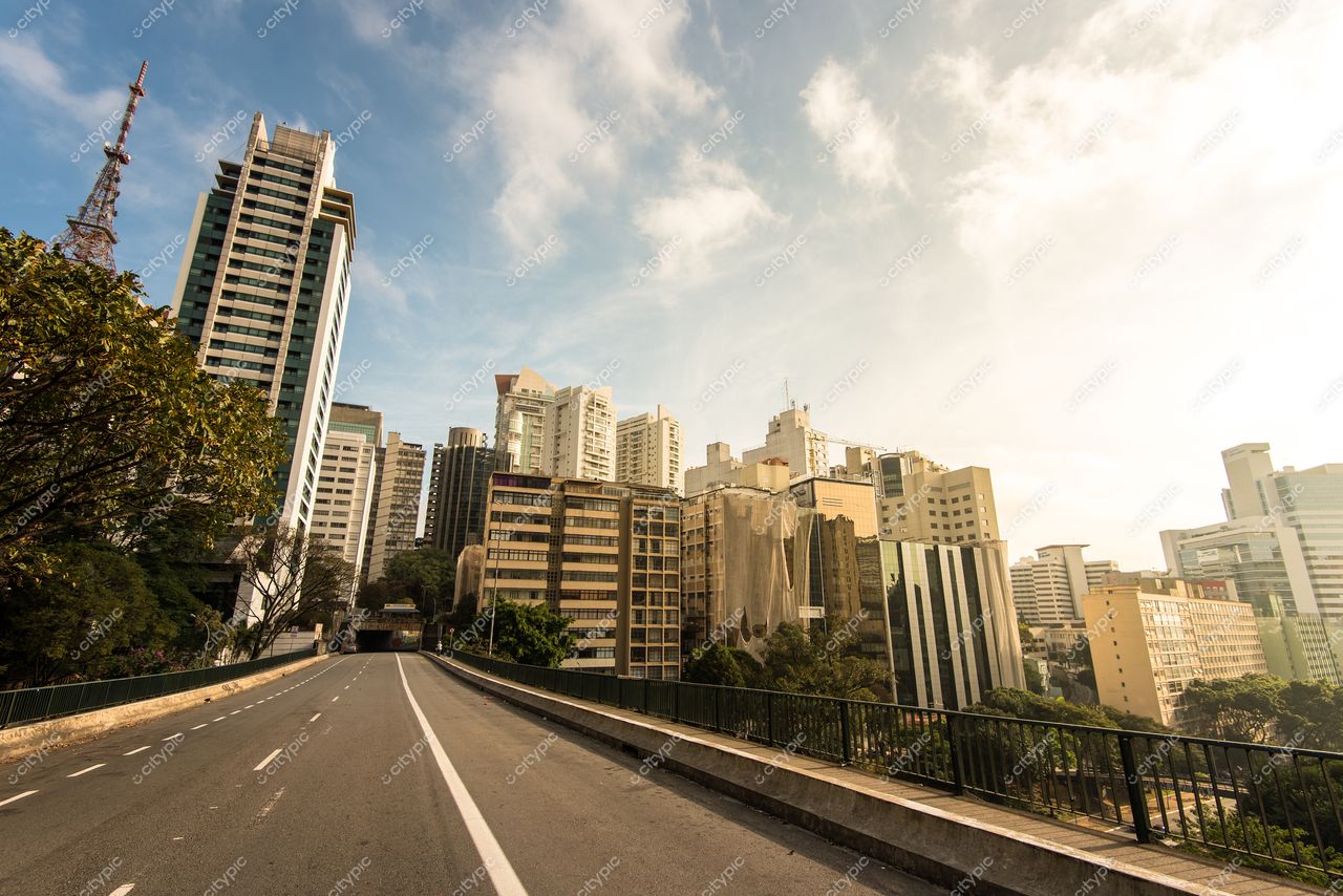 São Paulo, São Paulo com arranha-céus modernos e vegetação à esquerda sob céu parcialmente nublado e luz do sol